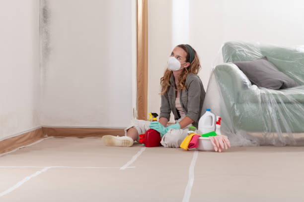 Reliable Mold Removal contractor in Clinton, MD by WQB Mold Removal